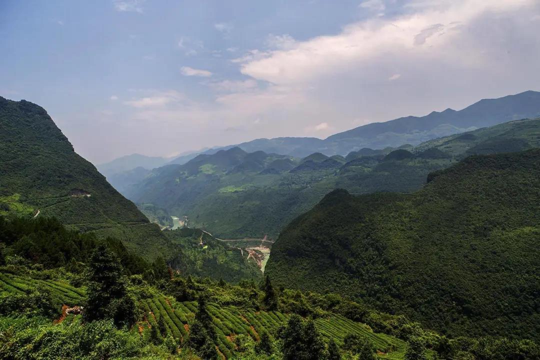 點亮大山希望 彰顯琨能溫度