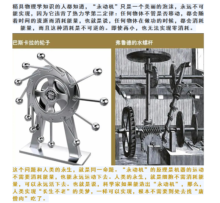 琨能將星譜：“永動機”謝彩霞